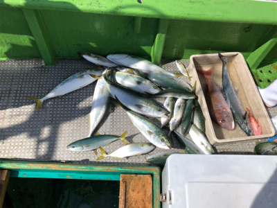 孝洋丸 落とし込み