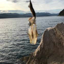 今年は遅い⁉︎