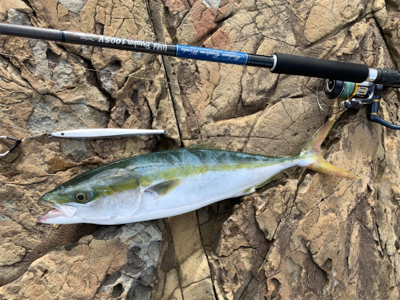 ヤズとかネリゴとか