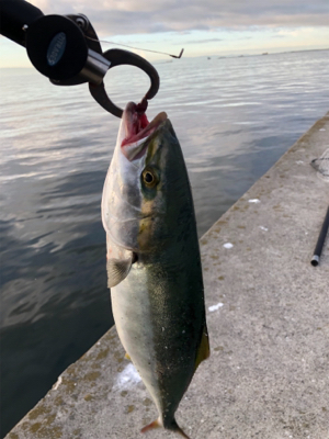 あれ？シブい？