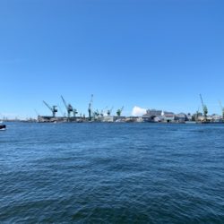 へんなヤツつれたったw