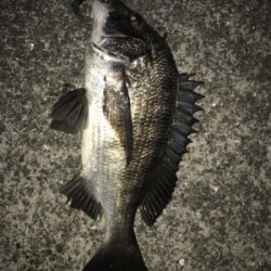 一枚はちびっこでした