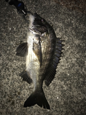 一枚はちびっこでした