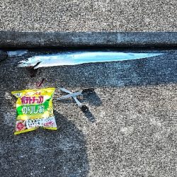 初めてのミニ堤防