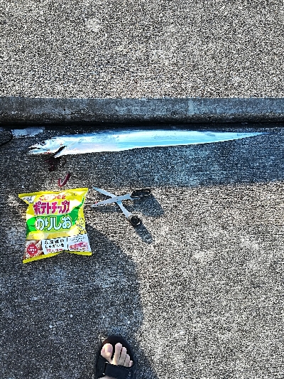 初めてのミニ堤防