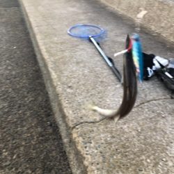 エギングのつもりが。