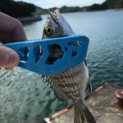 久々ライトゲーム