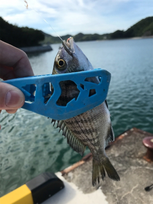 久々ライトゲーム