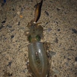 海が呼んでるんですもの♡