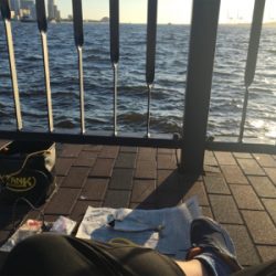 天保山 中央突堤 アジング修行のはずが…