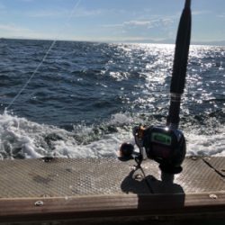 船タチウオ釣行