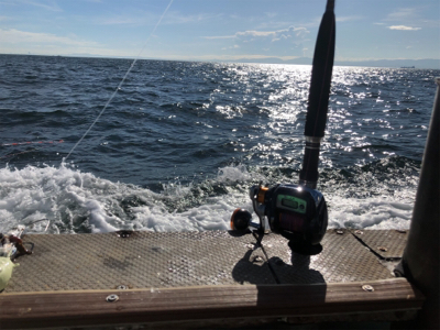 船タチウオ釣行