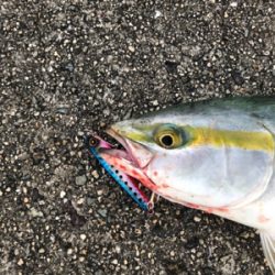 新しいメタルジグで