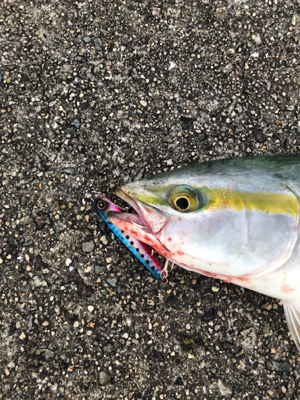 新しいメタルジグで