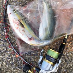 朝マズメツバッシング