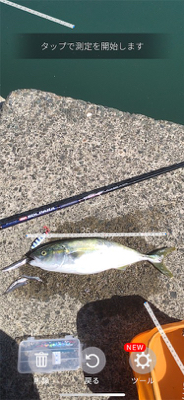 イカ調査＆ライトショア