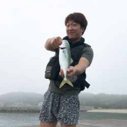 イナダが釣れました〜