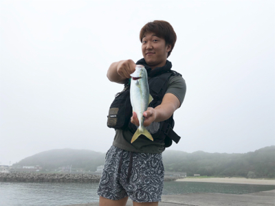 イナダが釣れました〜