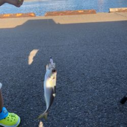 レズロスを買ったので試し投げに……