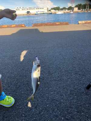 レズロスを買ったので試し投げに……