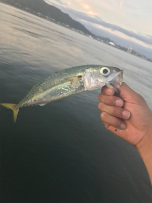 ネイリかと思ったらまさかの…