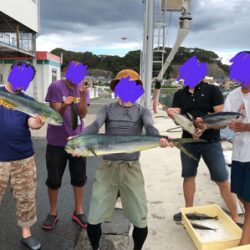 相模湾シイラ祭り