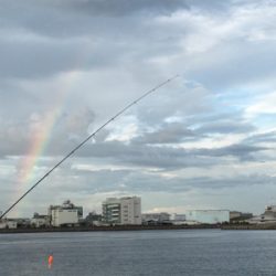 あかん日もある