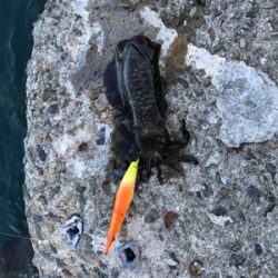 御坊から衣奈までランガン❗️