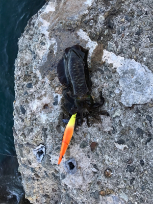 御坊から衣奈までランガン❗️