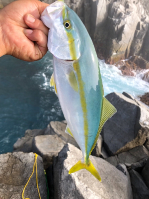 初の磯ジギング