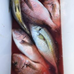 猛暑の釣り堀にて