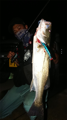 AbuGarcia ワンカレント