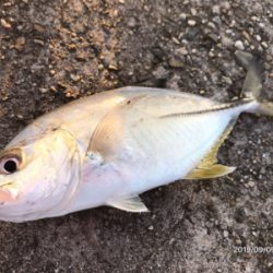 メッキの当たり年