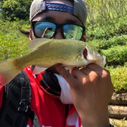 ダウンショットでボトムから中層付近