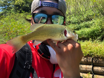 ダウンショットでボトムから中層付近