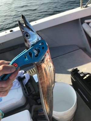 初タチウオジギング