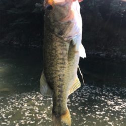 暑い中での釣り