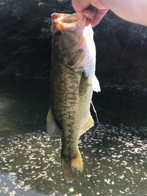 暑い中での釣り
