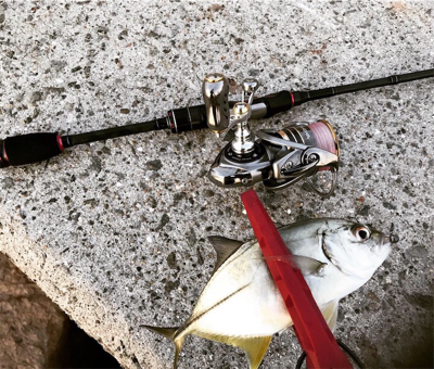 チビGT釣れましたー笑