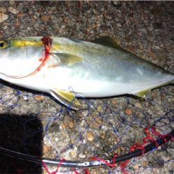 朝練ツバッシング