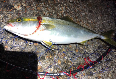 朝練ツバッシング