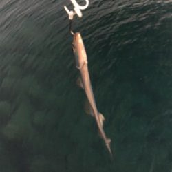 ポロリもあるよ♡