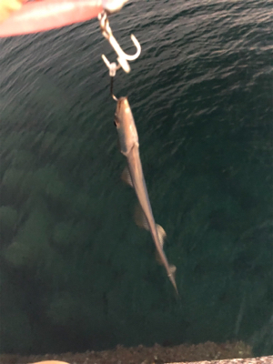 ポロリもあるよ♡