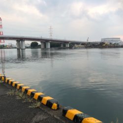 帰宅途中の30分アジング