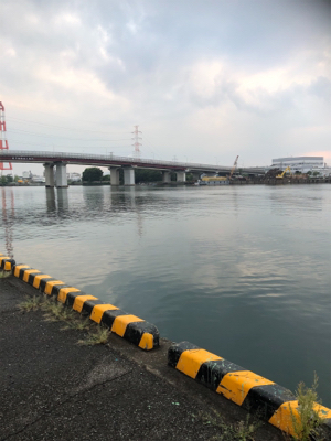 帰宅途中の30分アジング