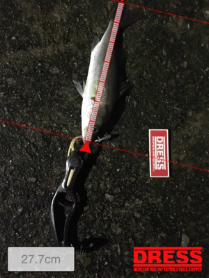 ちょっと良くなったかな？