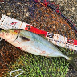 朝練ツバッシング