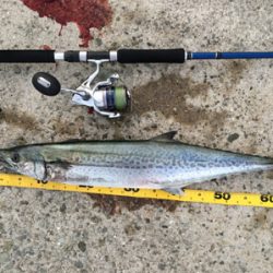 ビッグバッカー鰆カスタム