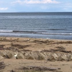 昼からの釣行です