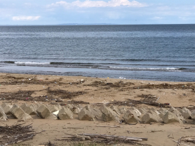 昼からの釣行です